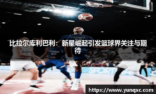 jn体育官网